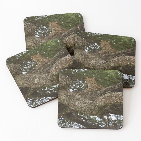 Item preview, African Leopard (Panthera pardus pardus) on a Tree designed and sold by Yair Karelic.