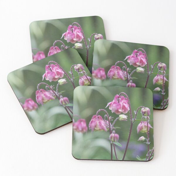 Item preview, Pink aquilegia after the rain. designed and sold by Latch Farm  Studios.