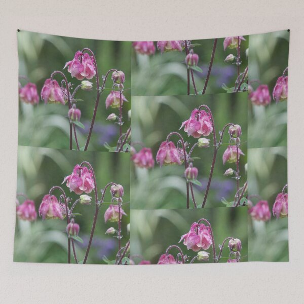 Item preview, Pink aquilegia after the rain. designed and sold by Latch Farm  Studios.