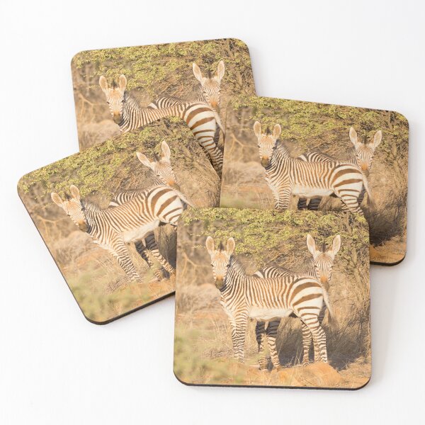 Item preview, Young Hartmann's Mountain Zebras (Equus zebra hartmannae) designed and sold by Yair Karelic.