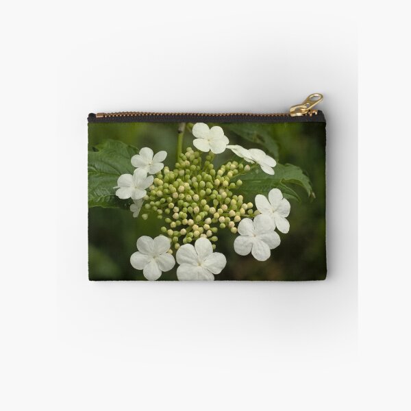 Item preview, flowering guelder rose designed and sold by xophotography.