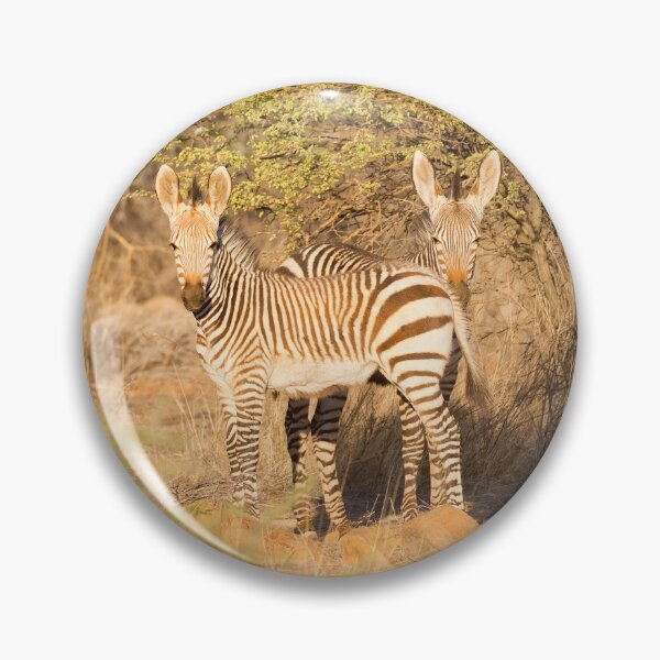 Item preview, Young Hartmann's Mountain Zebras (Equus zebra hartmannae) designed and sold by Yair Karelic.