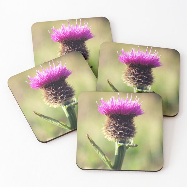 Item preview, Scottish Thistle designed and sold by Jamie Mitchell.