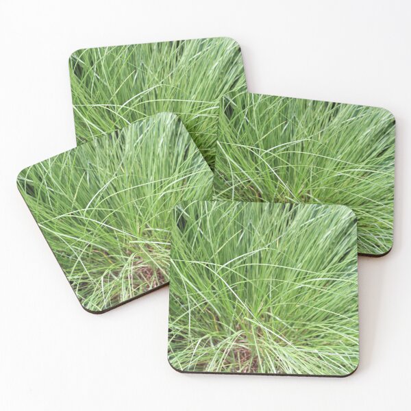 Item preview, Grass designed and sold by Susie Kramer.