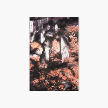 Misty graveyard in dappled sunlight Art Board Print
