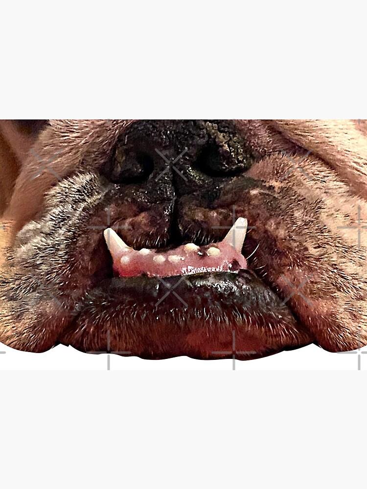 "Dozer's Underbite" Mask by ArtisticBulldog Redbubble
