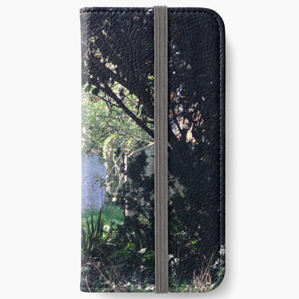 Spring graves iPhone Wallet
