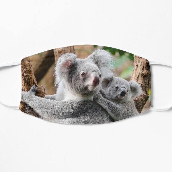 Koala, maman bébé Masque sans plis