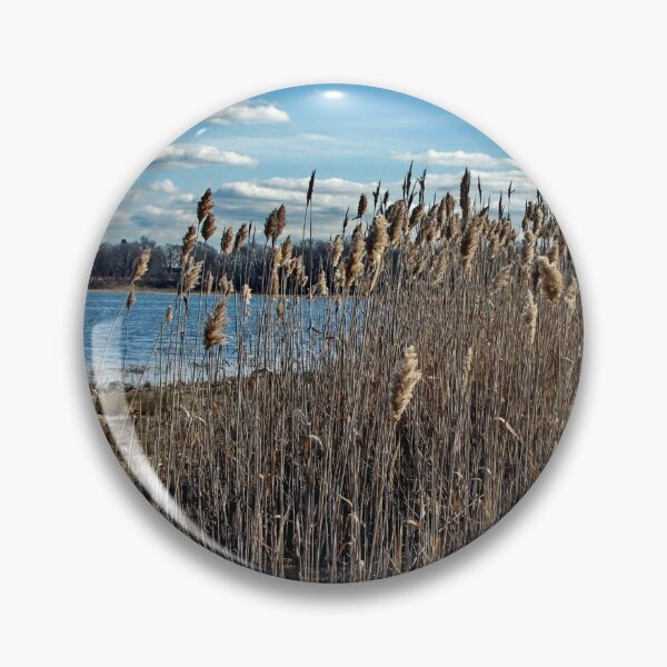 Item preview, Pampas Grass designed and sold by Nancy Richard.