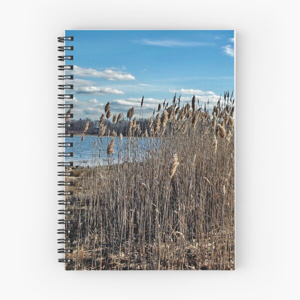Item preview, Pampas Grass designed and sold by Nancy Richard.
