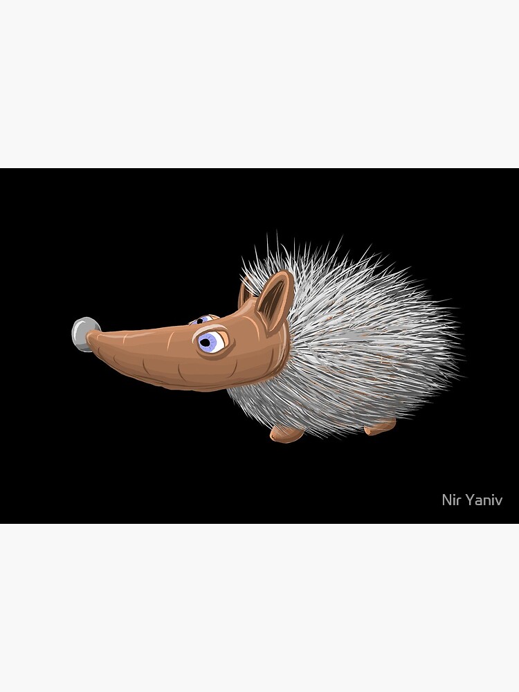 The Curious Hedgehog by niry