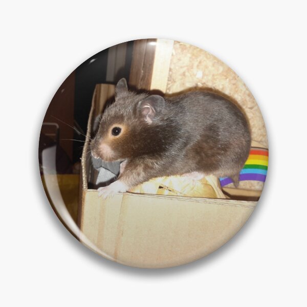 Item preview, Wednesday Addams the hamster designed and sold by stormclouds.