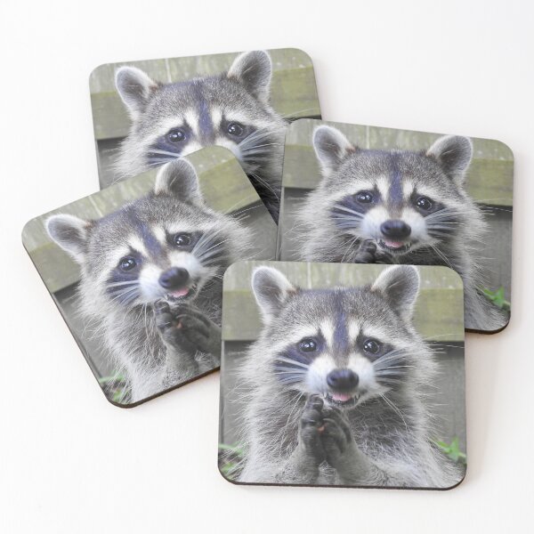 Item preview, Bojangles designed and sold by SwampQueen.
