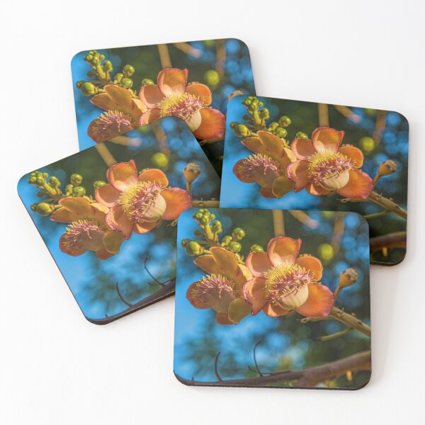 Item preview, Thailand. Chiang Mai. Flowers of Cannonball Tree. designed and sold by vadim19.