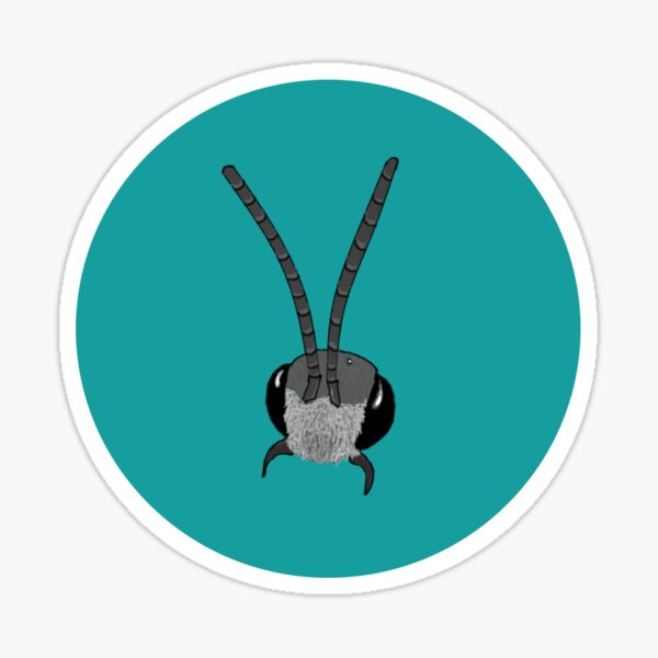 Lasio Sticker