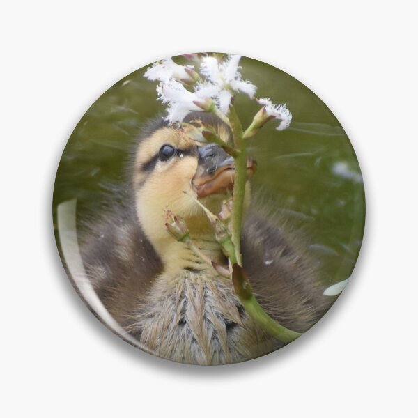 Item preview, Duckling Smelling the Flowers designed and sold by ReneeKennedy.