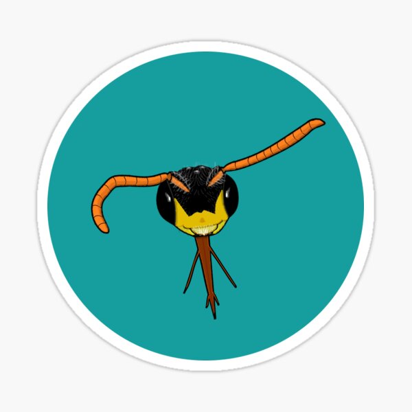 Nomada Sticker