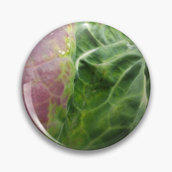 Item preview, Brassica Up Close designed and sold by MeyrellesMartin.