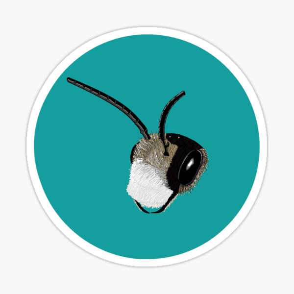 Ashy Sticker