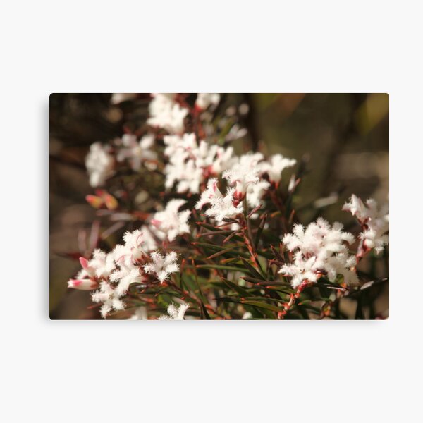 Item preview, Les Jolies Fleurs1 designed and sold by beeden.