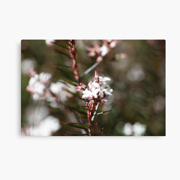 Item preview, Les Jolies Fleurs2 designed and sold by beeden.