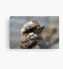 Bird Profile Canvas Print