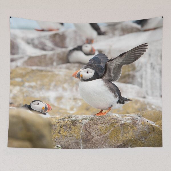 Item preview, Atlantic Puffin Photography  designed and sold by NatashaBalletta.