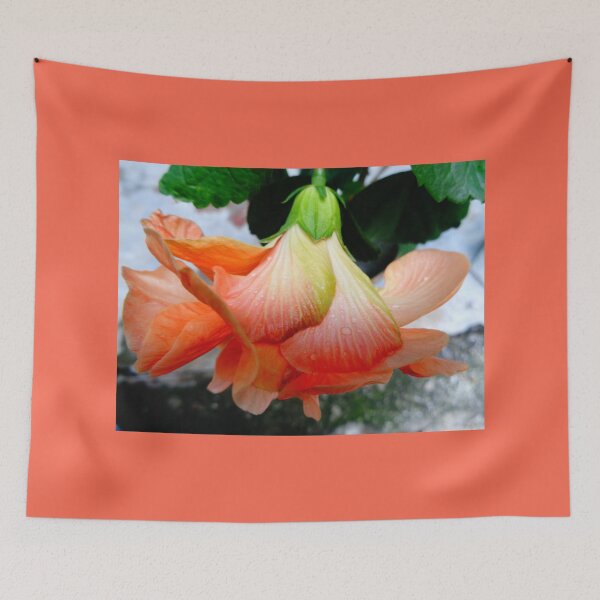 Item preview, Hibiscus 1 designed and sold by RiaanaDCircle.