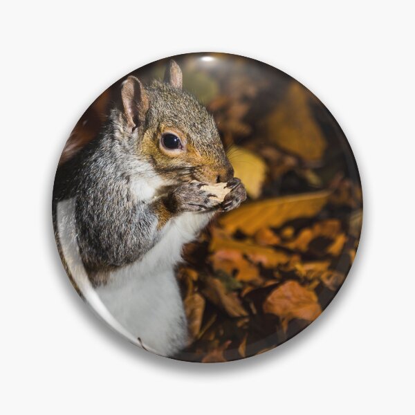 Item preview, Grey squirrel designed and sold by wellsie82.