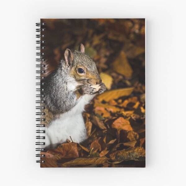 Item preview, Grey squirrel designed and sold by wellsie82.