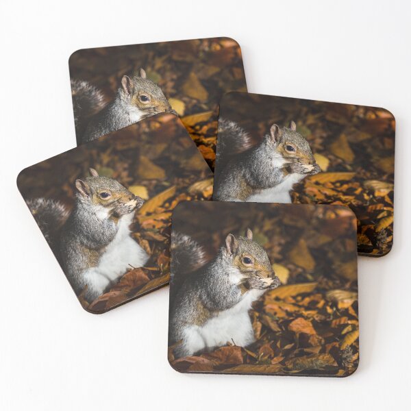 Item preview, Grey squirrel designed and sold by wellsie82.