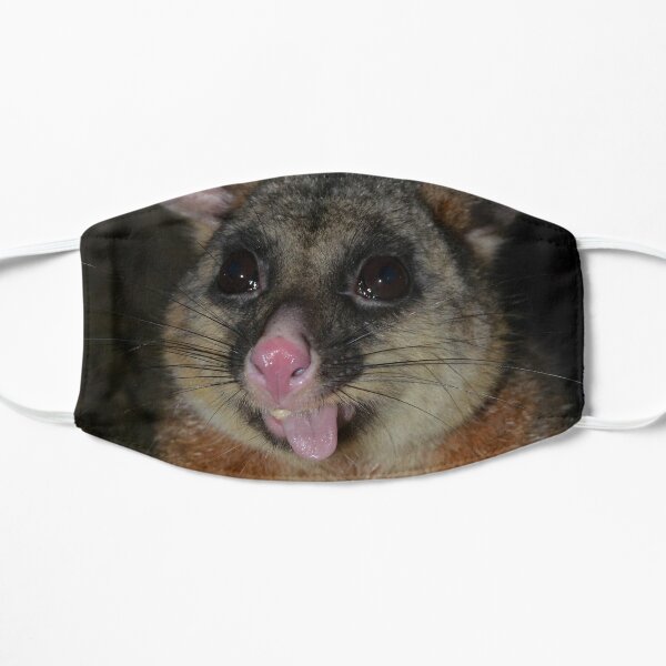 possum face mask