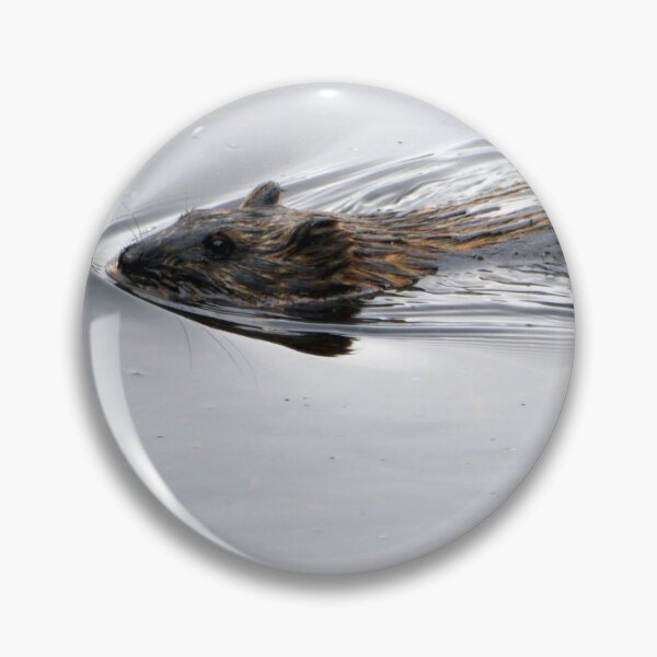 Item preview, Otter in the lake designed and sold by Ms-Bexy.
