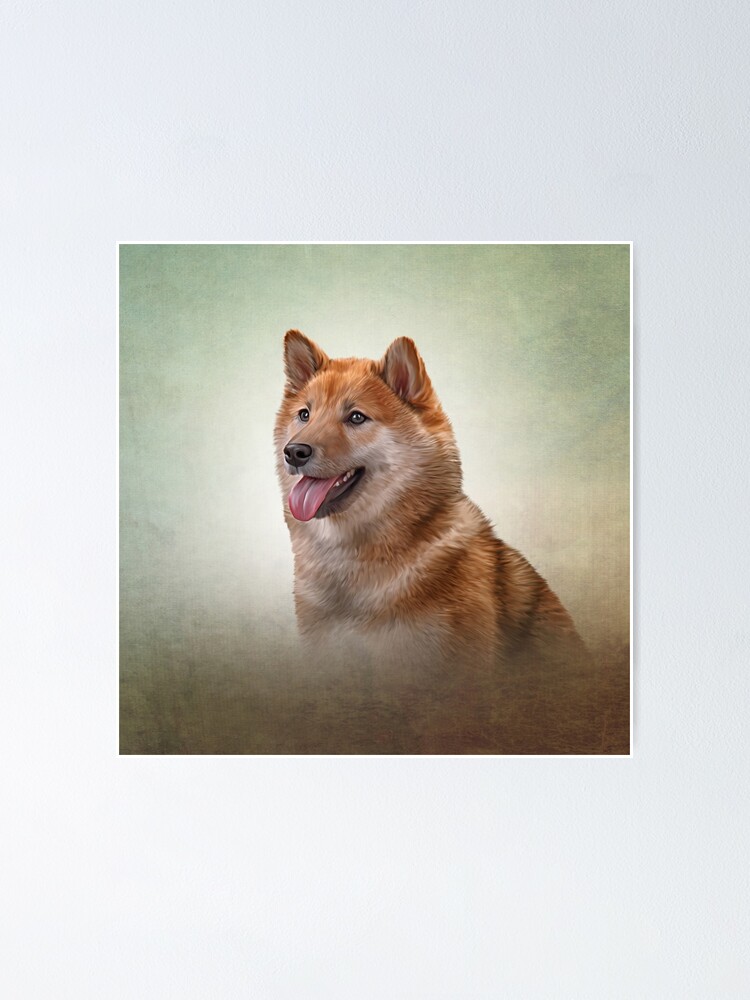 Poster for Sale avec l'œuvre « Dessin de chien Shiba Inu japonais