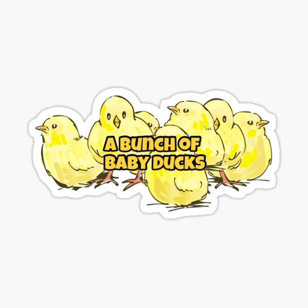 A Bunch of Baby Ducks Sticker