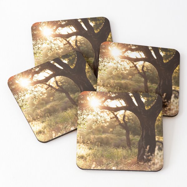 Item preview, Oak tree in the evening light designed and sold by AndreasPrott.
