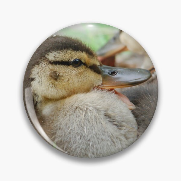 Artikelvorschau, Kleine Entenküken entworfen und verkauft von Glineur.
