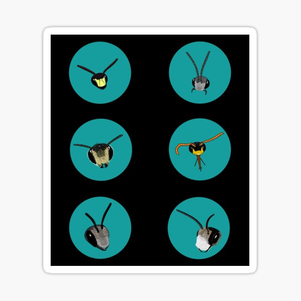Bee Faces Sticker