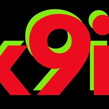 Aperçu de l'œuvre sixnine de Raseelvm