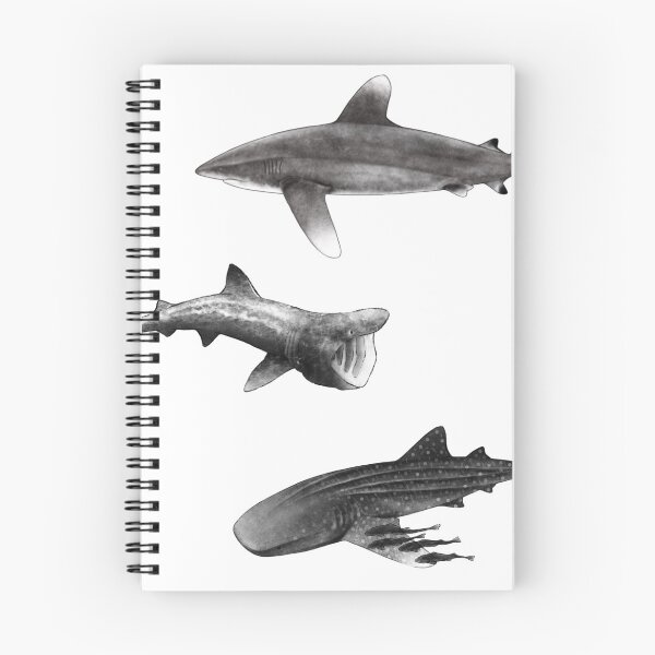 Item preview, Sharks : Oceanic Whitetip, Basking Shark, Whale Shark designed and sold by Moana Matron Designs.