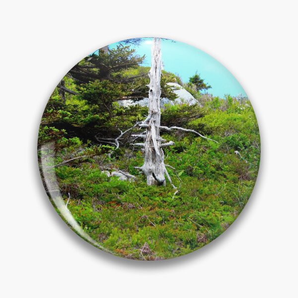 Item preview, Off the Beaten Path - Forest designed and sold by Totallyalive.
