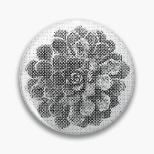 Item preview, Vintage Succulent Photograph designed and sold by lilyvermilya.