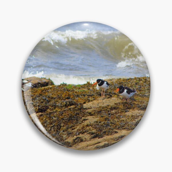 Item preview, Playing About On The Rocks designed and sold by dredfell.