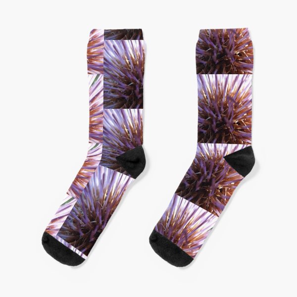  Arti  Socks Redbubble