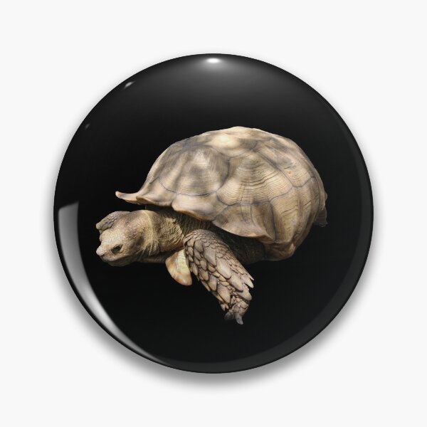 Item preview, Sulcata Tortoise (grazing) designed and sold by misimichu.