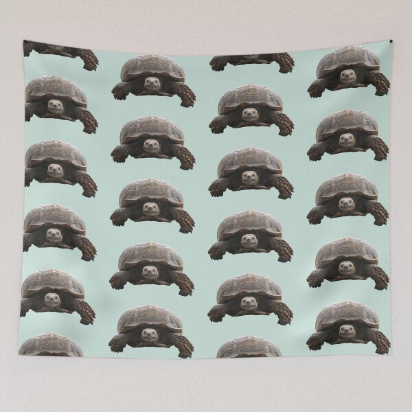 Item preview, Sulcata Tortoise designed and sold by misimichu.