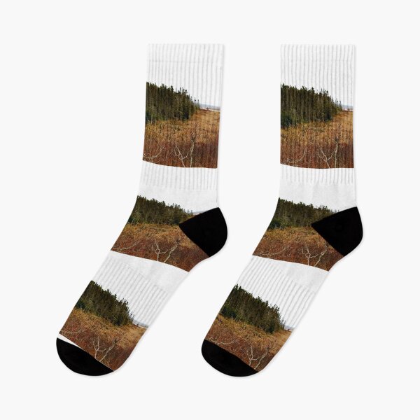 Item preview, Oceanside forest designed and sold by Totallyalive.