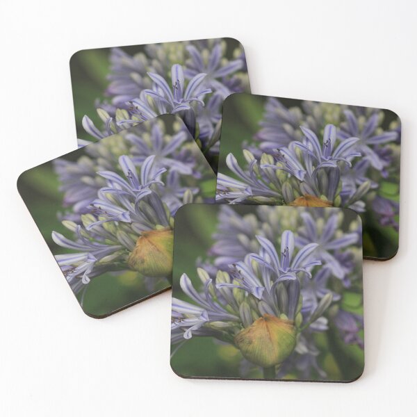 Item preview, Agapanthus designed and sold by lmocimages.