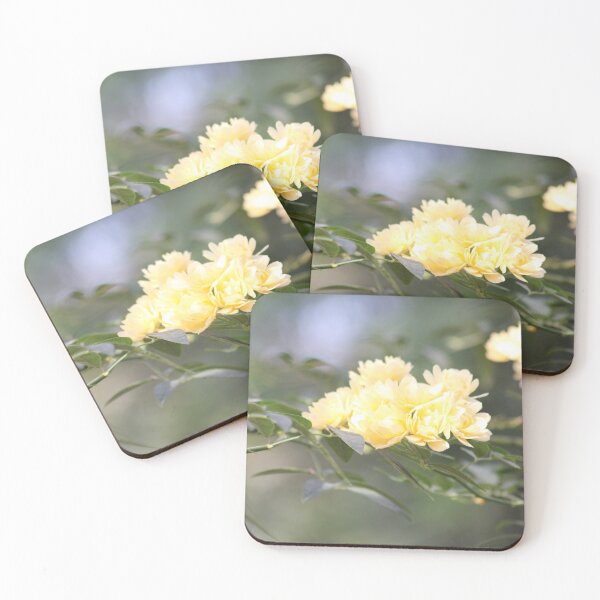 Item preview, Small Yellow Chrysanthemums designed and sold by lmocimages.