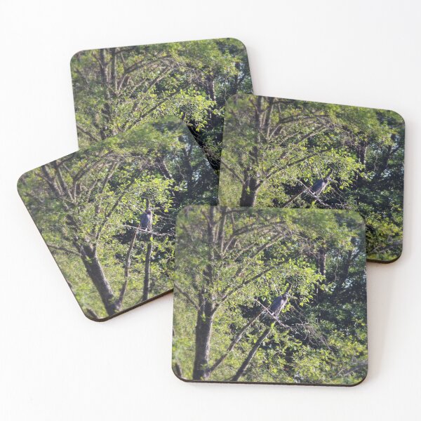 Item preview, Great Blue Heron in the trees by Trojan pond, near Goble, Oregon designed and sold by Dawna Morton.